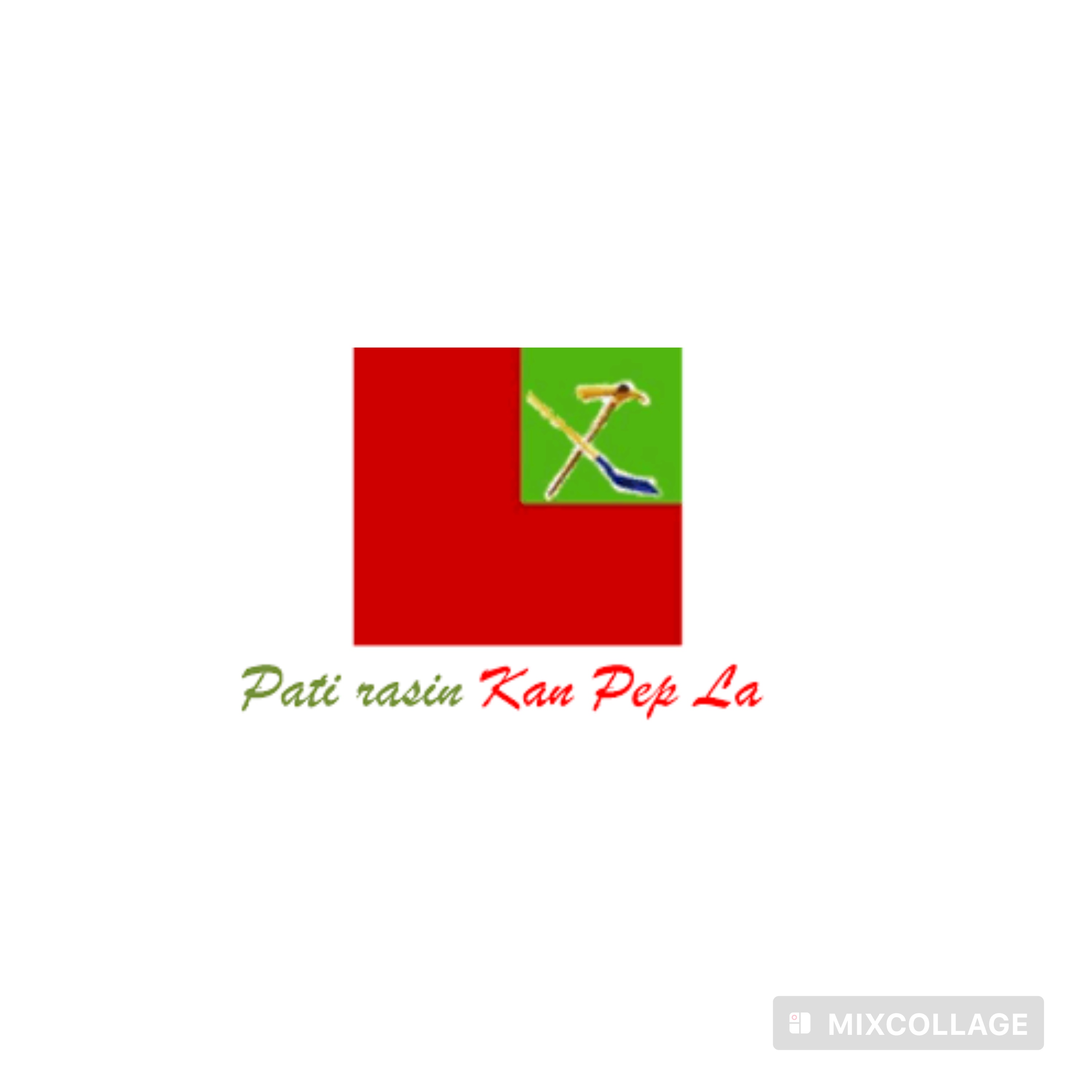 Rasin Kan Pèp et l’Alternative Socialiste s’opposent au changement de la Constitution