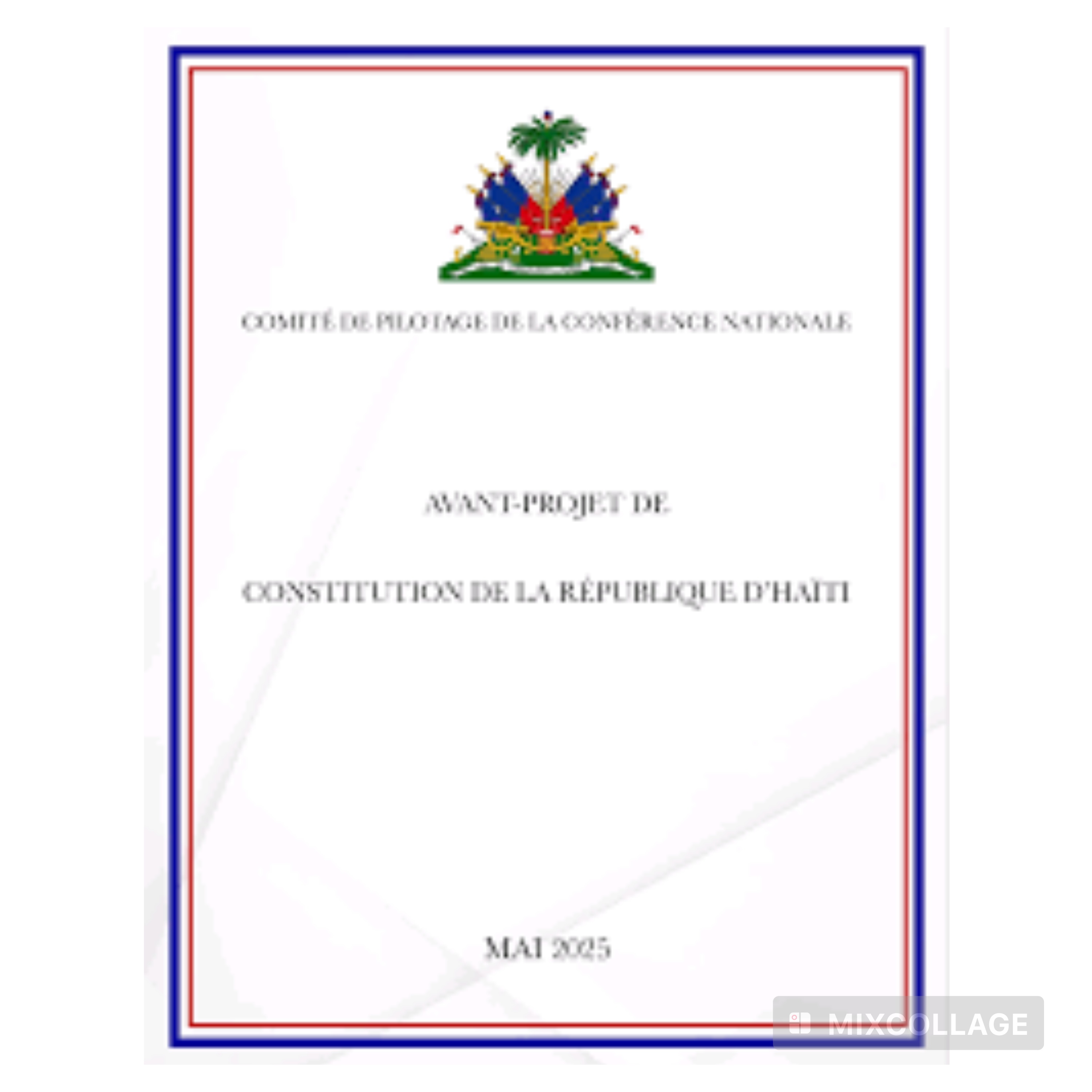 Avant-projet de Constitution : vers une redéfinition du rôle des partis politiques
