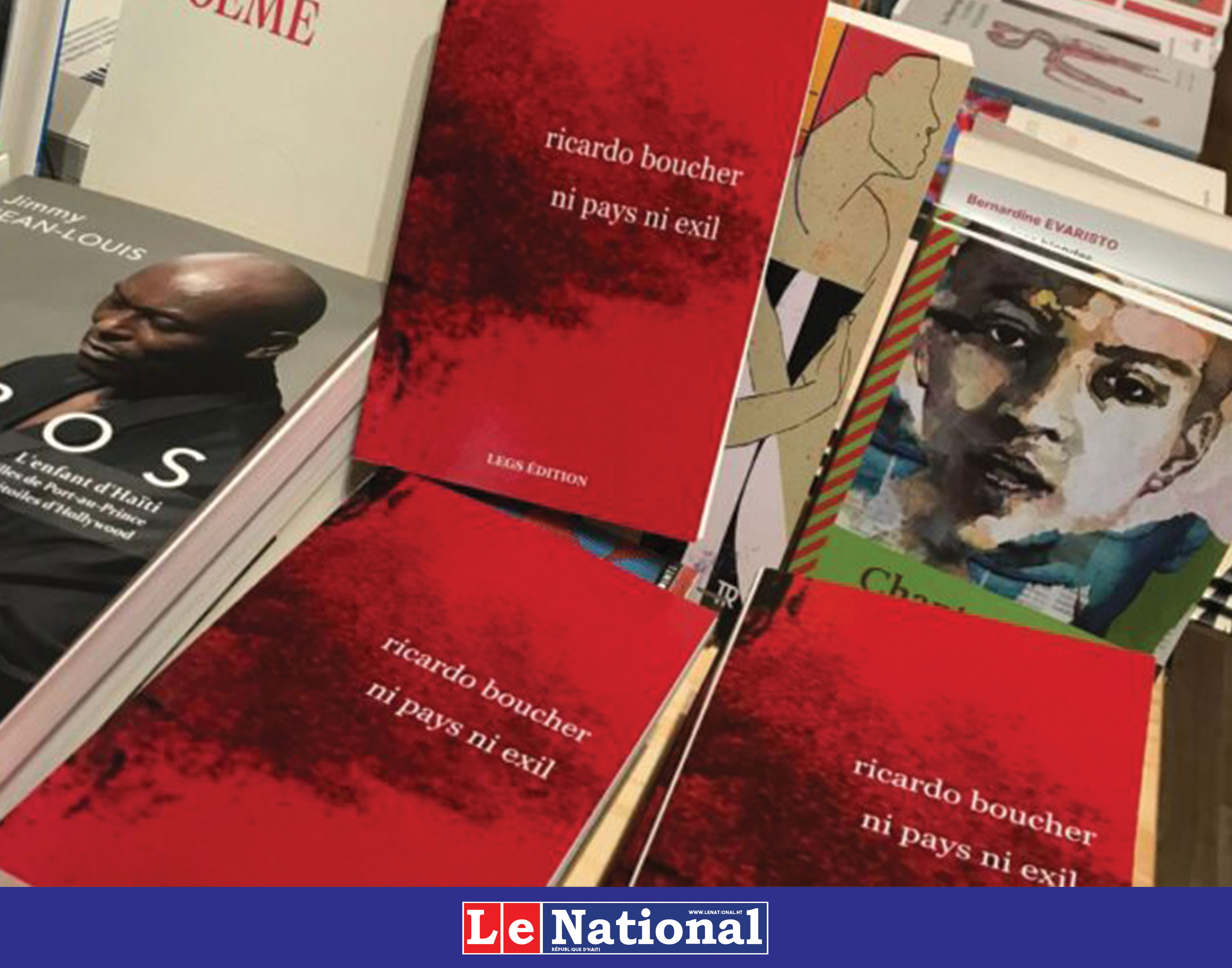 Ni pays ni exil de Boucher, une appréciation critique