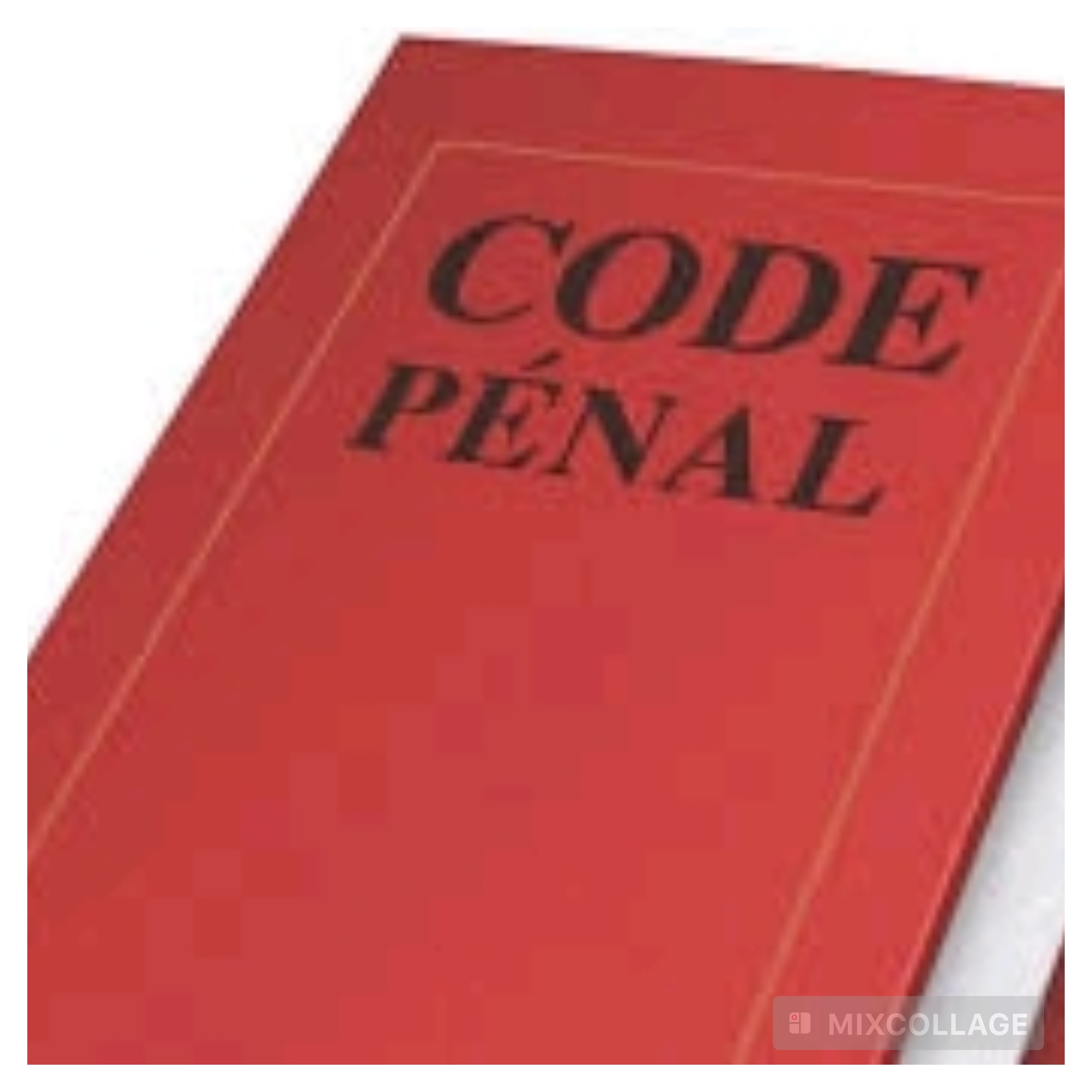 Articles controversés modifiés : le Code pénal fait peau neuve