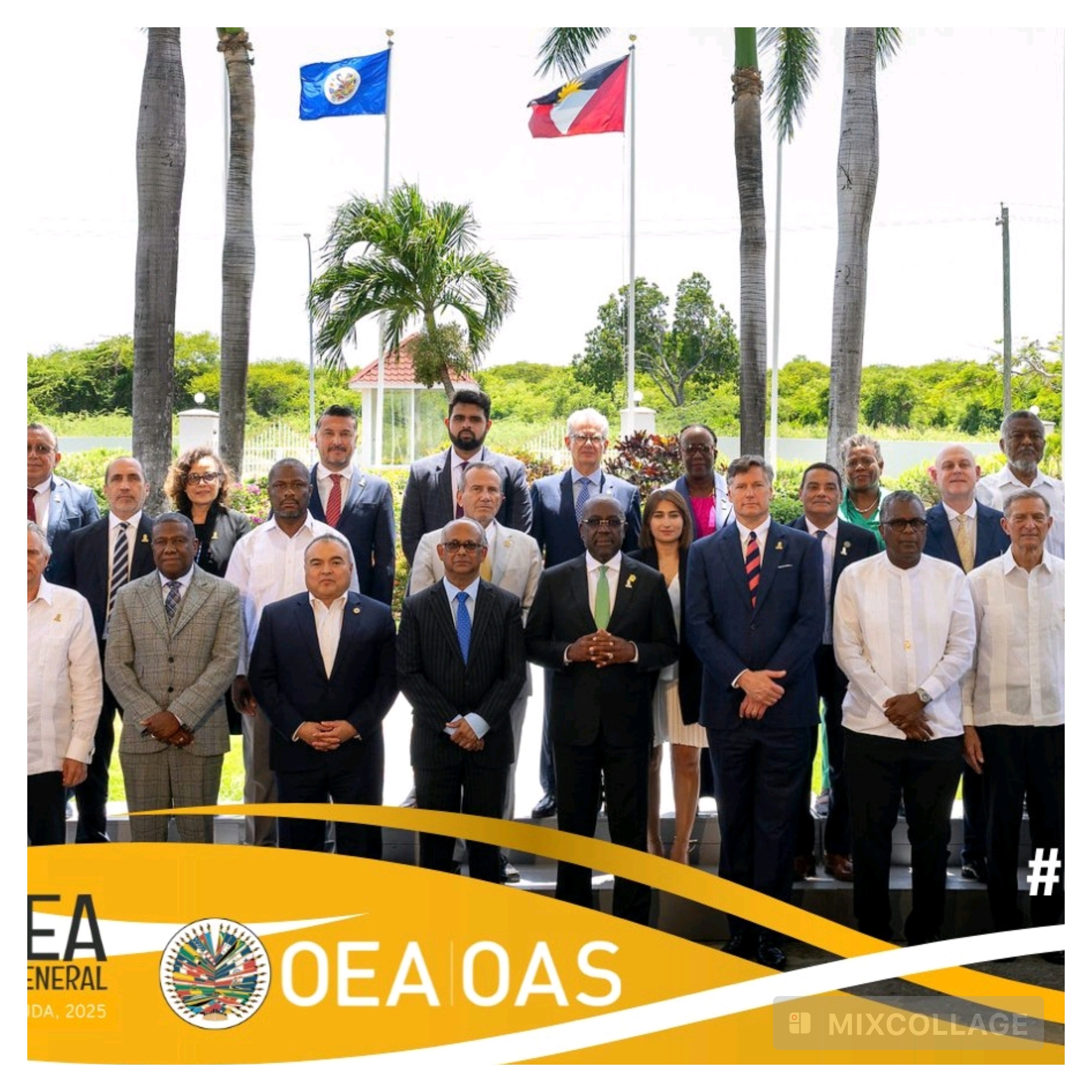 55e Assemblée Générale de l'OEA : Haïti réclame des actions, pas des promesses