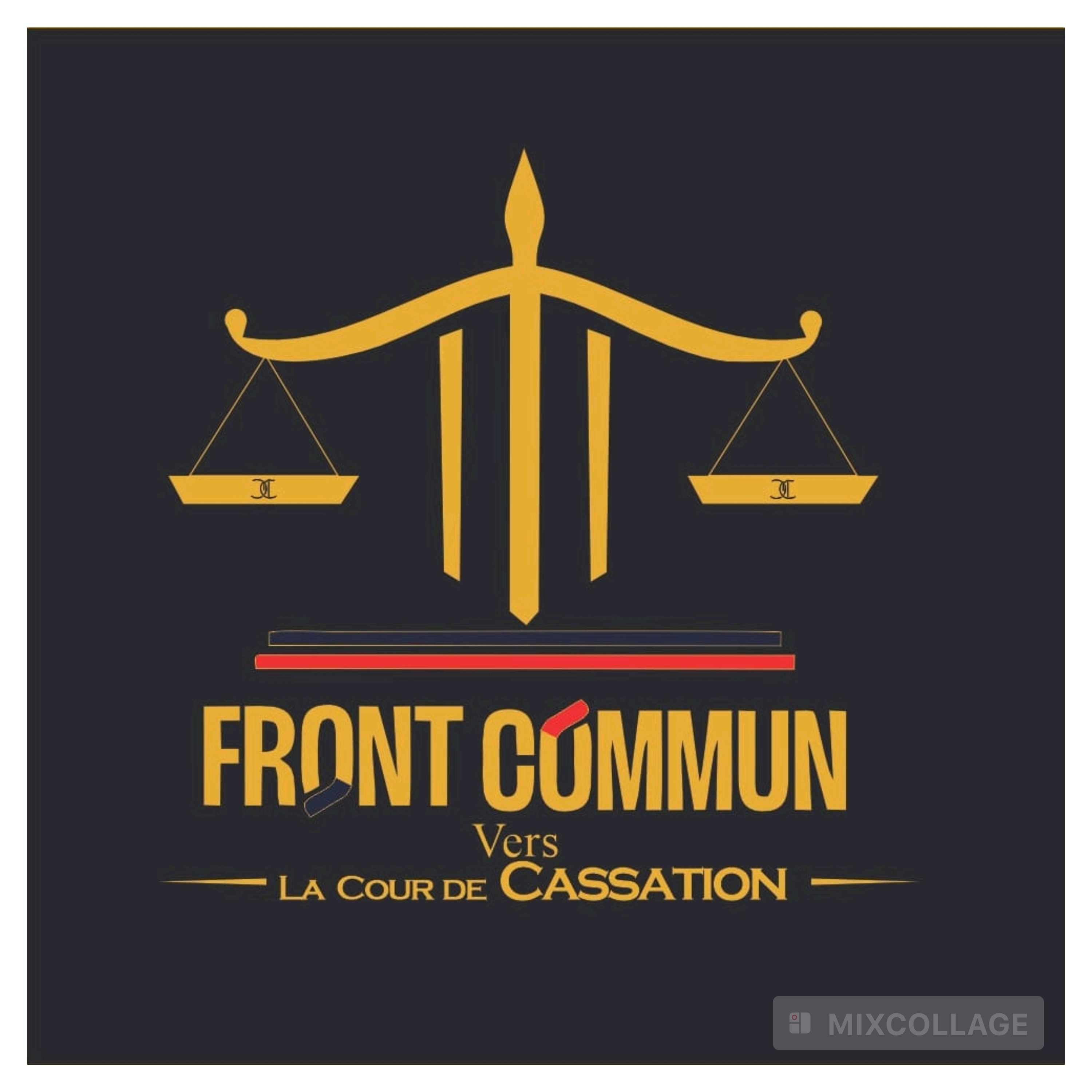 RÉSOLUTION DU FRONT COMMUN POUR UNE TRANSITION RÉPUBLICAINE, LÉGITIME ET SOUVERAINE PAR LA COUR DE CASSATION