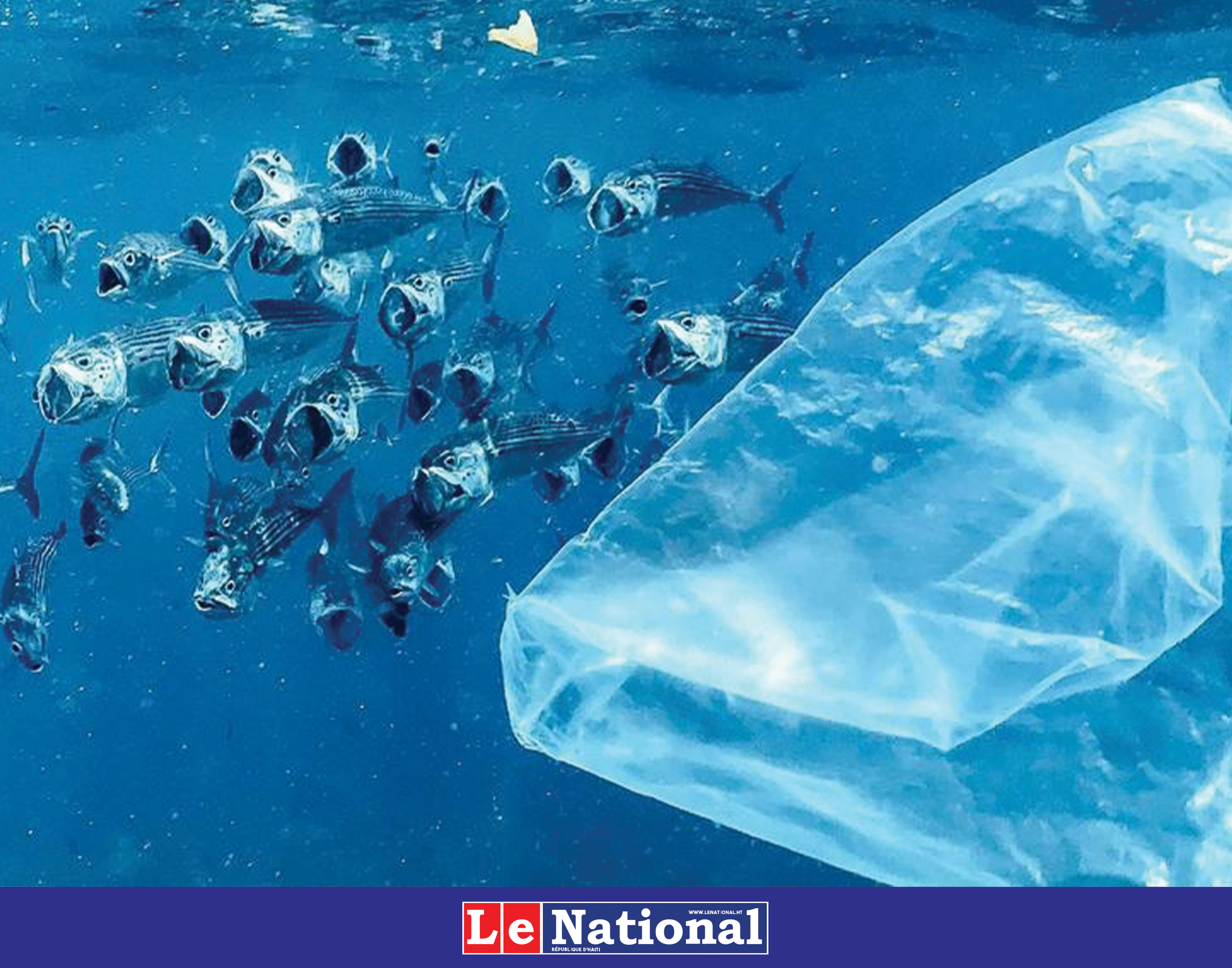 La pollution plastique envahit la planète : d'ultimes négociations débutent à Genève pour y remédier