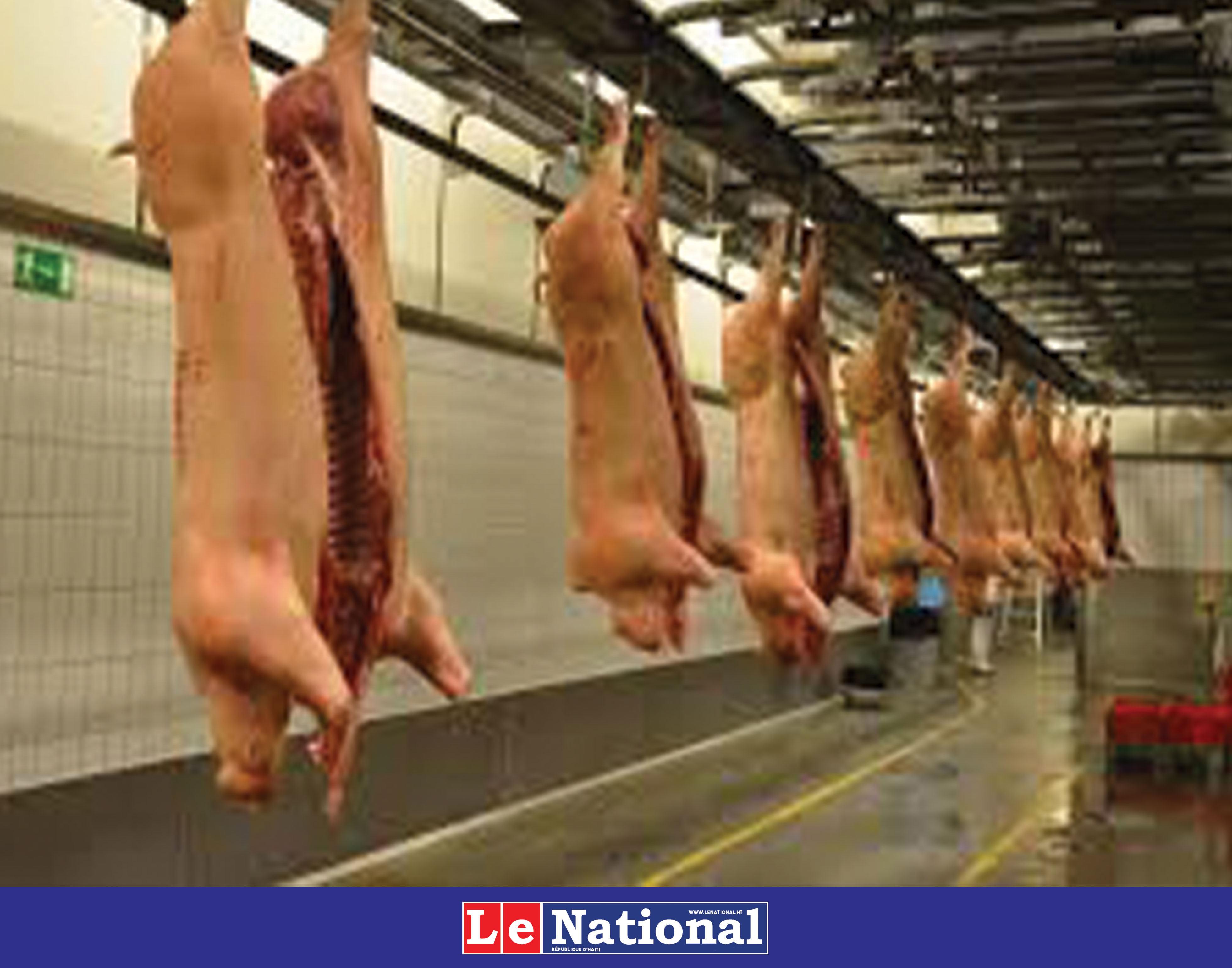  La viande de porc: compréhension des risques sanitaires et des interdits culturels