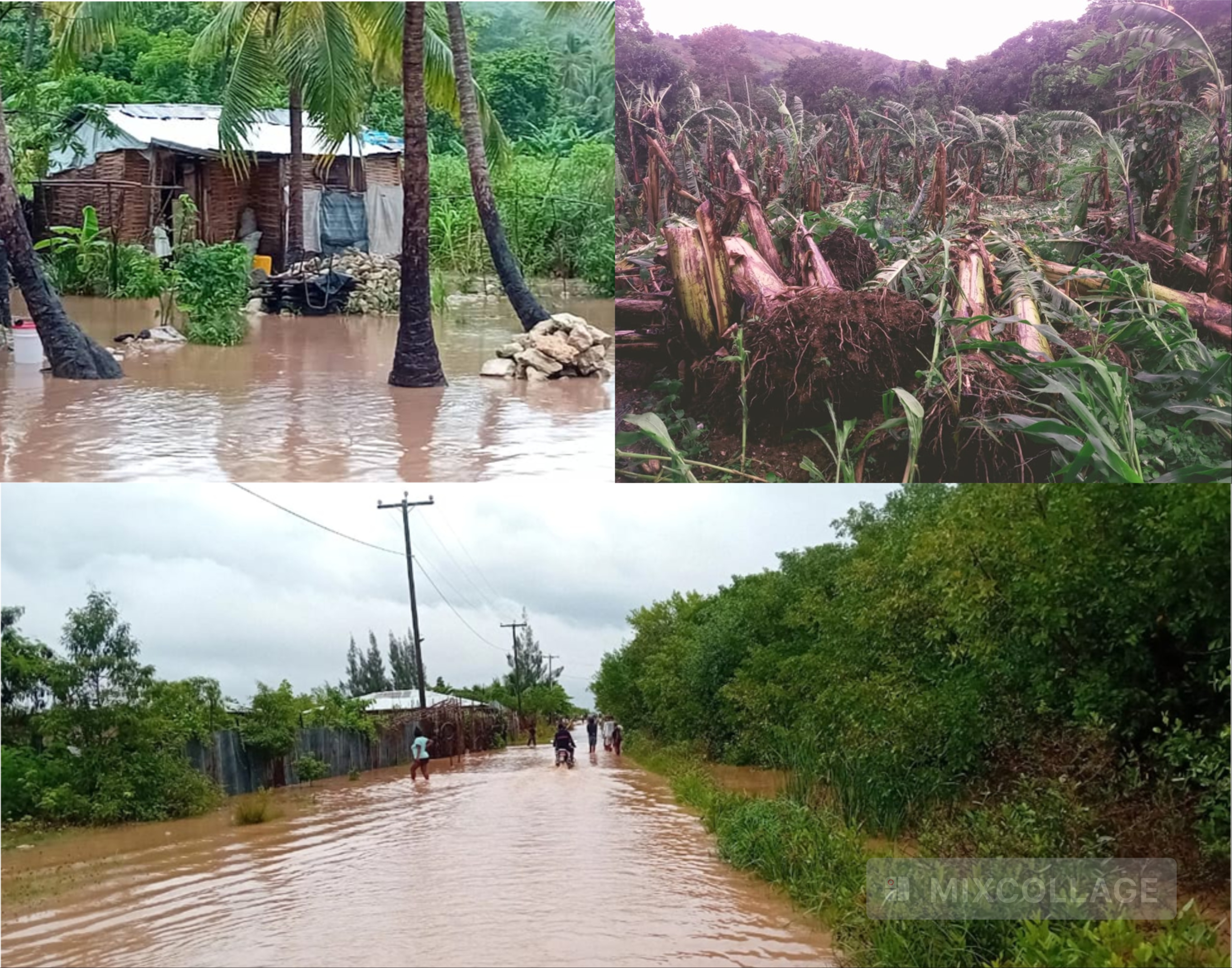 Grand’Anse: appel d’Urgence à la Solidarité