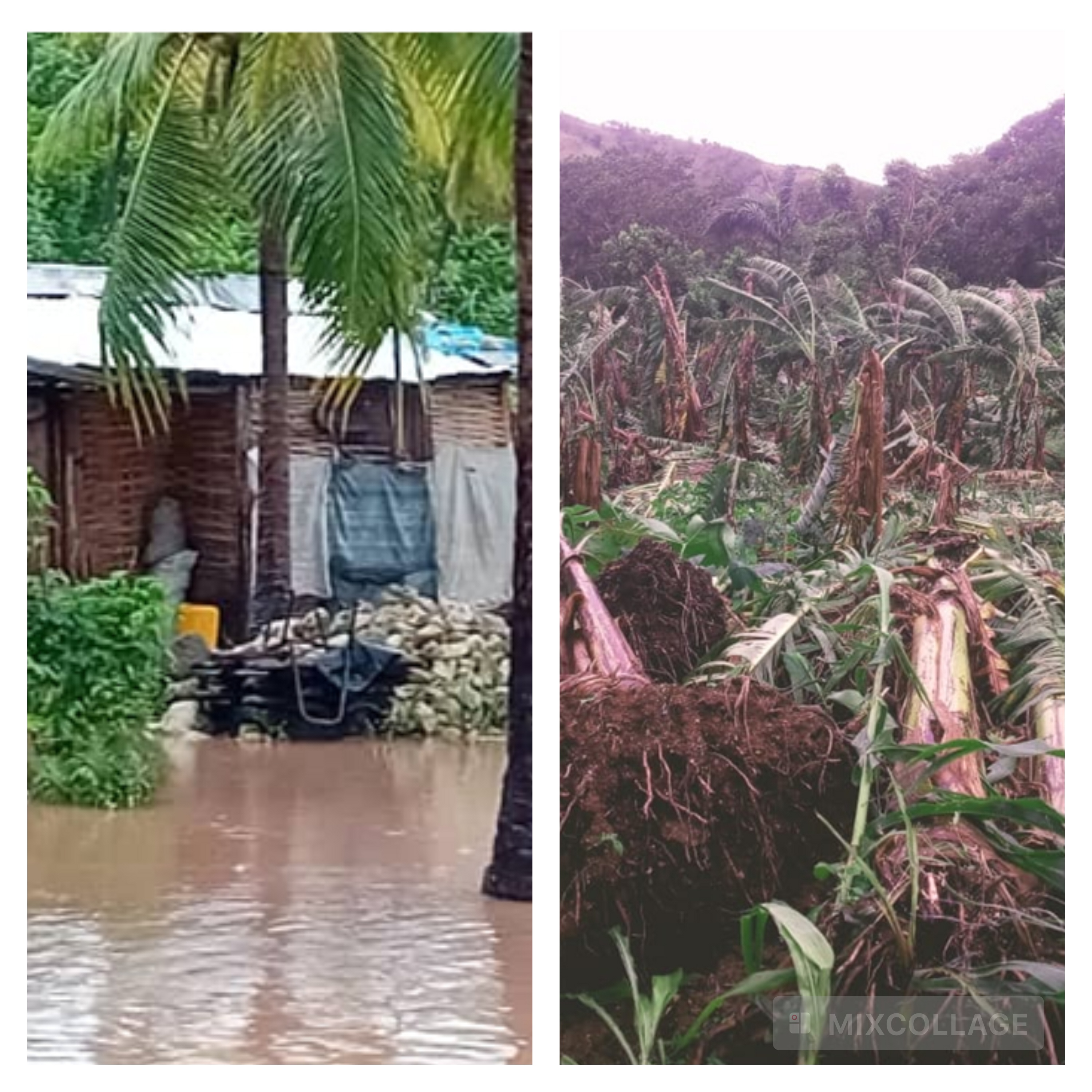 Ouragan Mélissa :  Haïti face à une crise économique aggravée