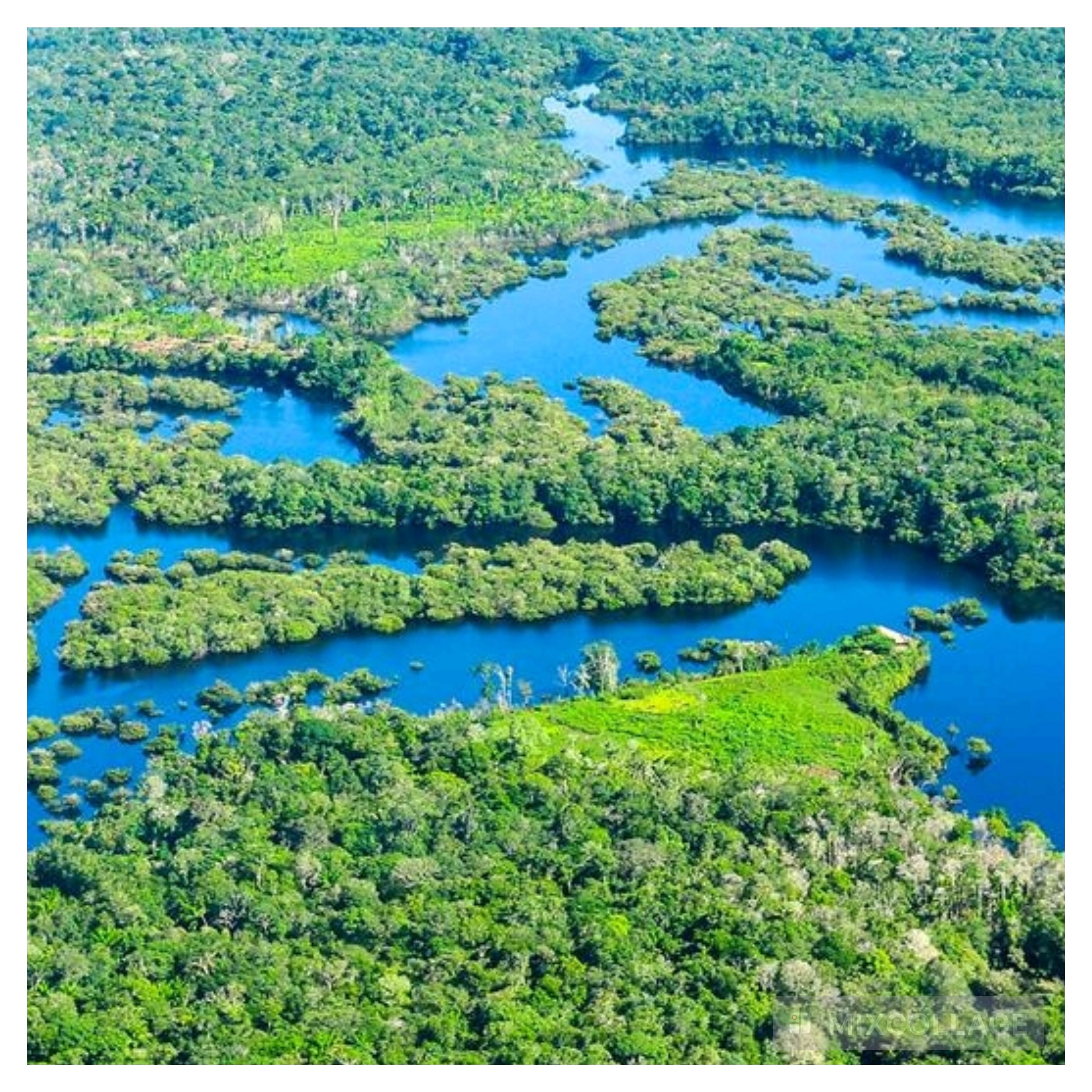 Le Brésil lance un fonds mondial pour inciter à sauver les forêts tropicales