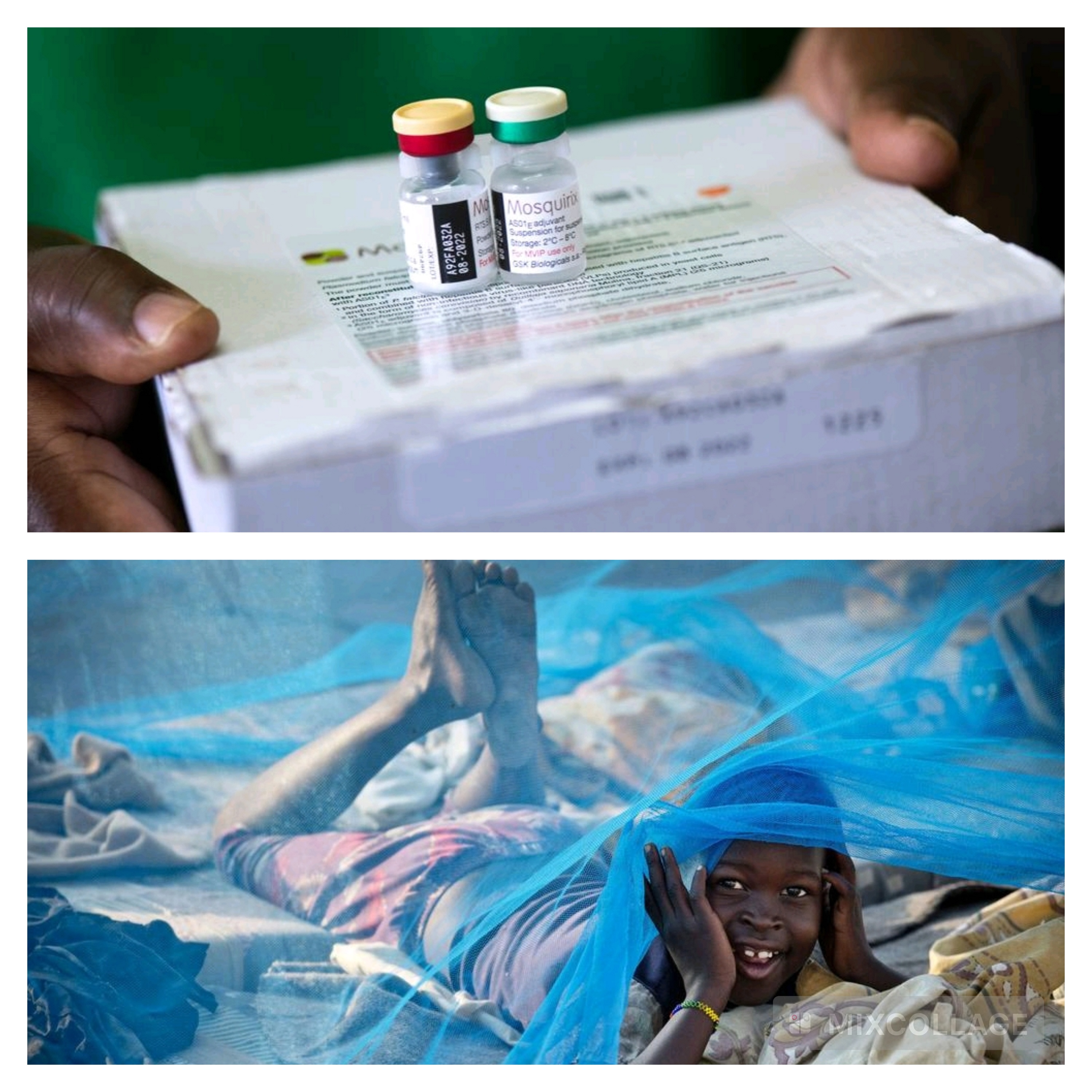 Paludisme : la résistance aux médicaments et le sous-financement menacent les progrès accomplis