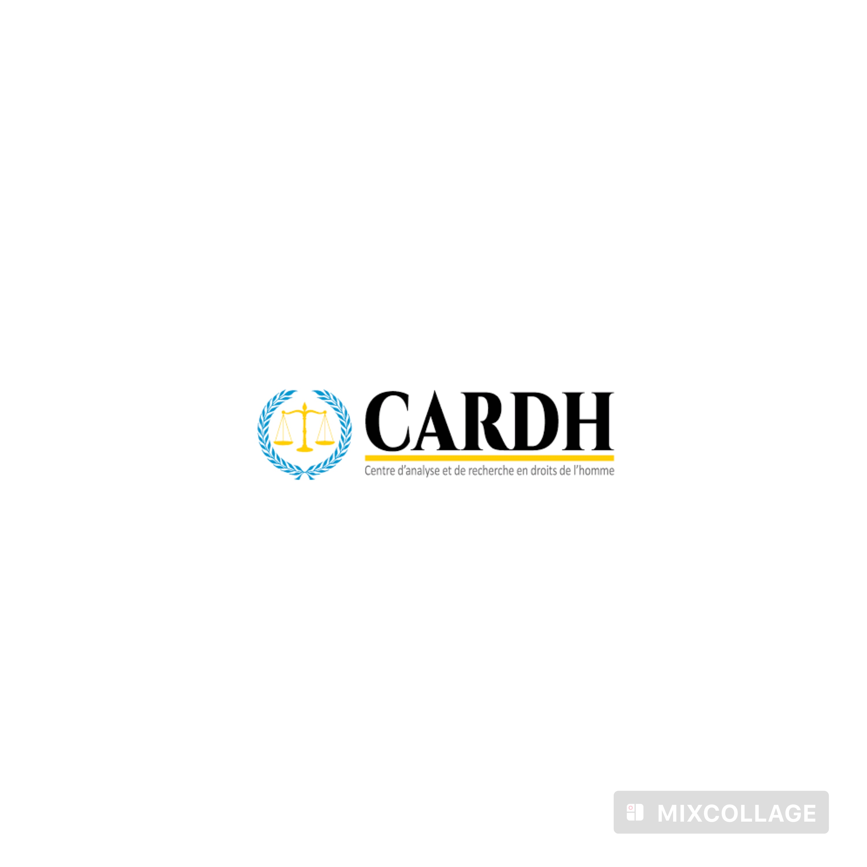 Droits humains : le CARDH outille une cinquantaine de déplacés internes