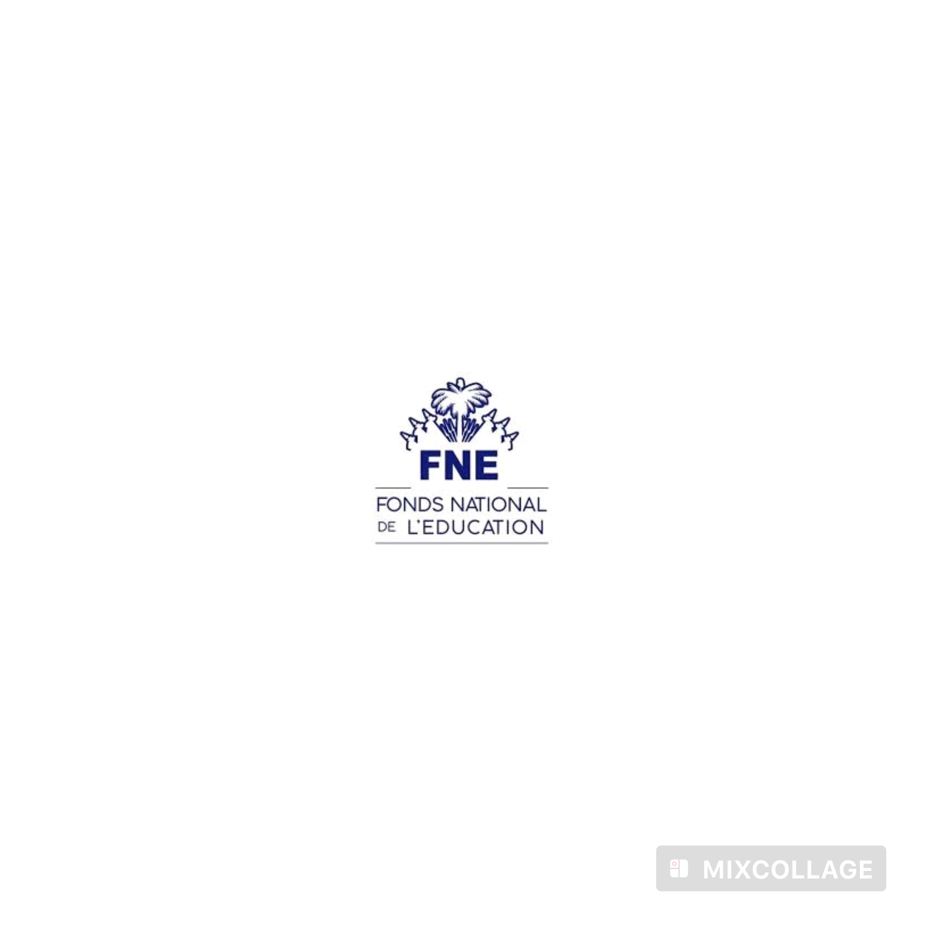 Rapport de l’ULCC : la gestion du FNE passée au crible