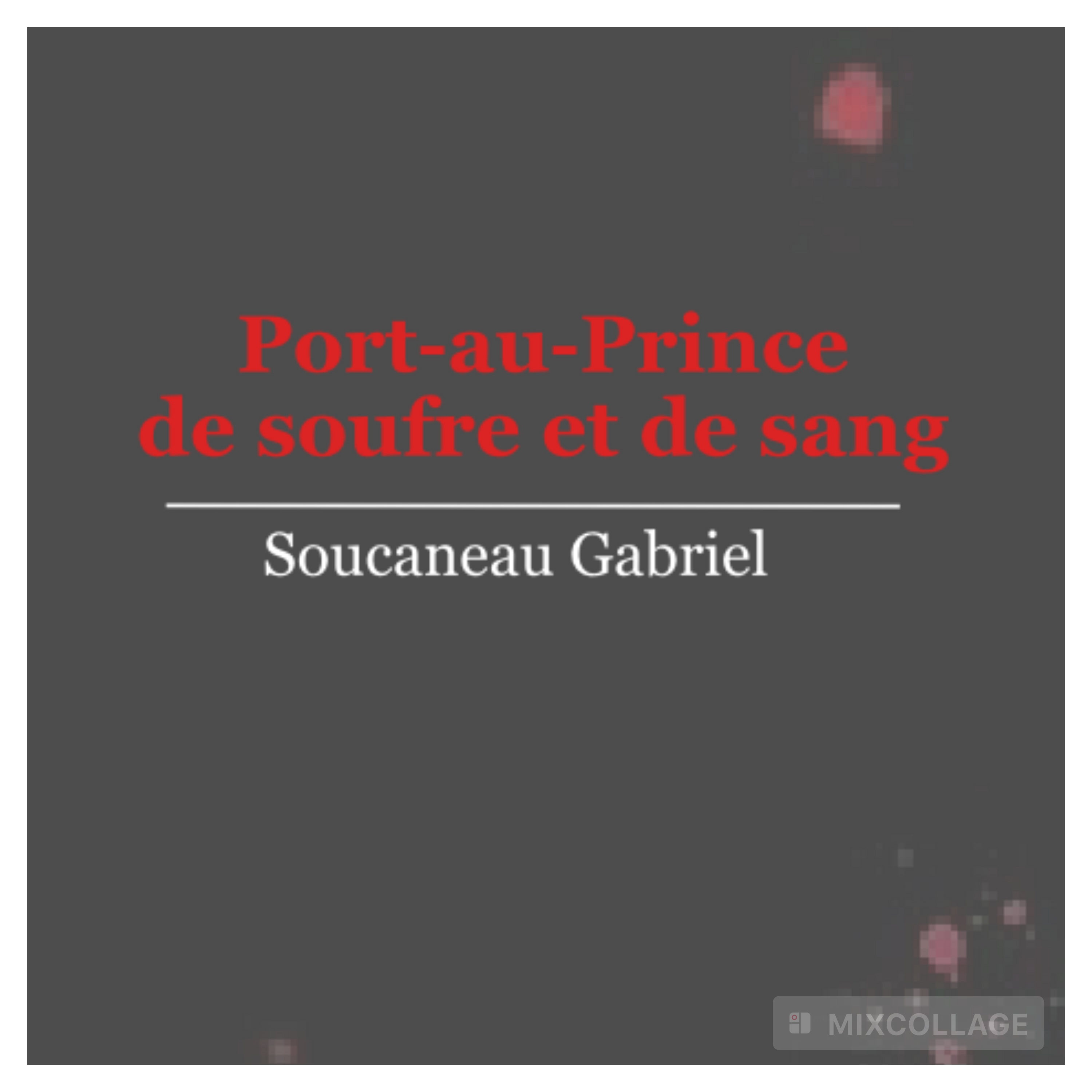 Soucaneau dans l’œil de Port-au-Prince