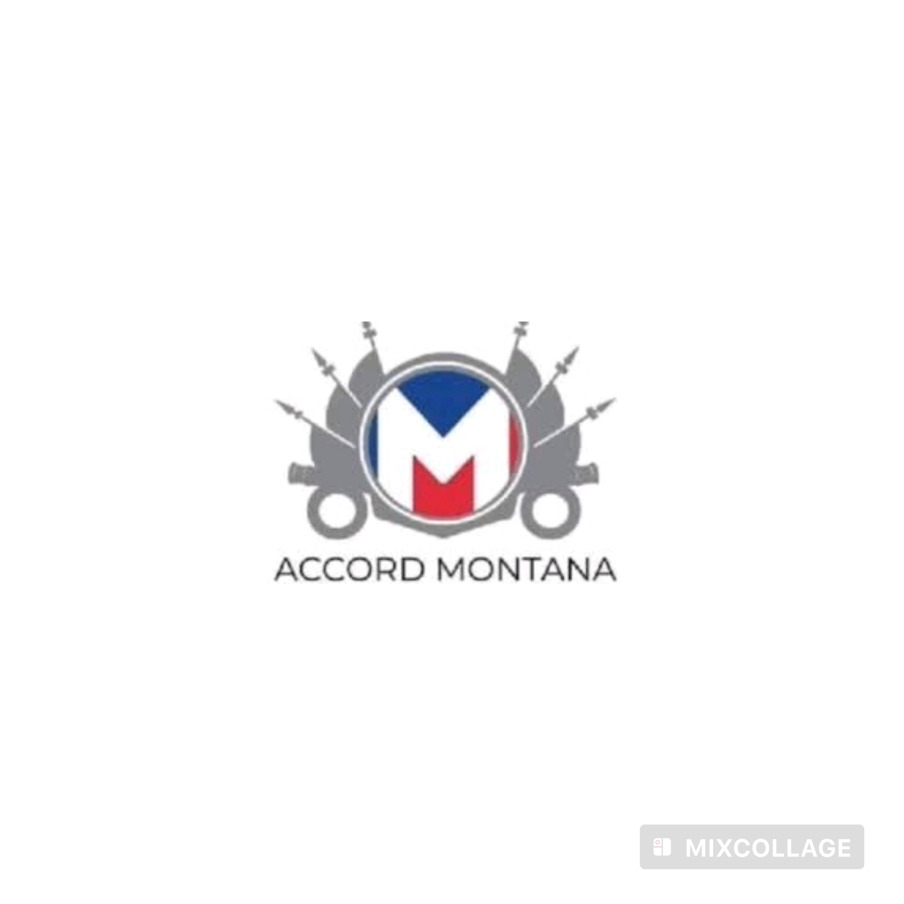 Accord de Montana : le comité de pilotage constate l’échec du CPT et propose une nouvelle transition