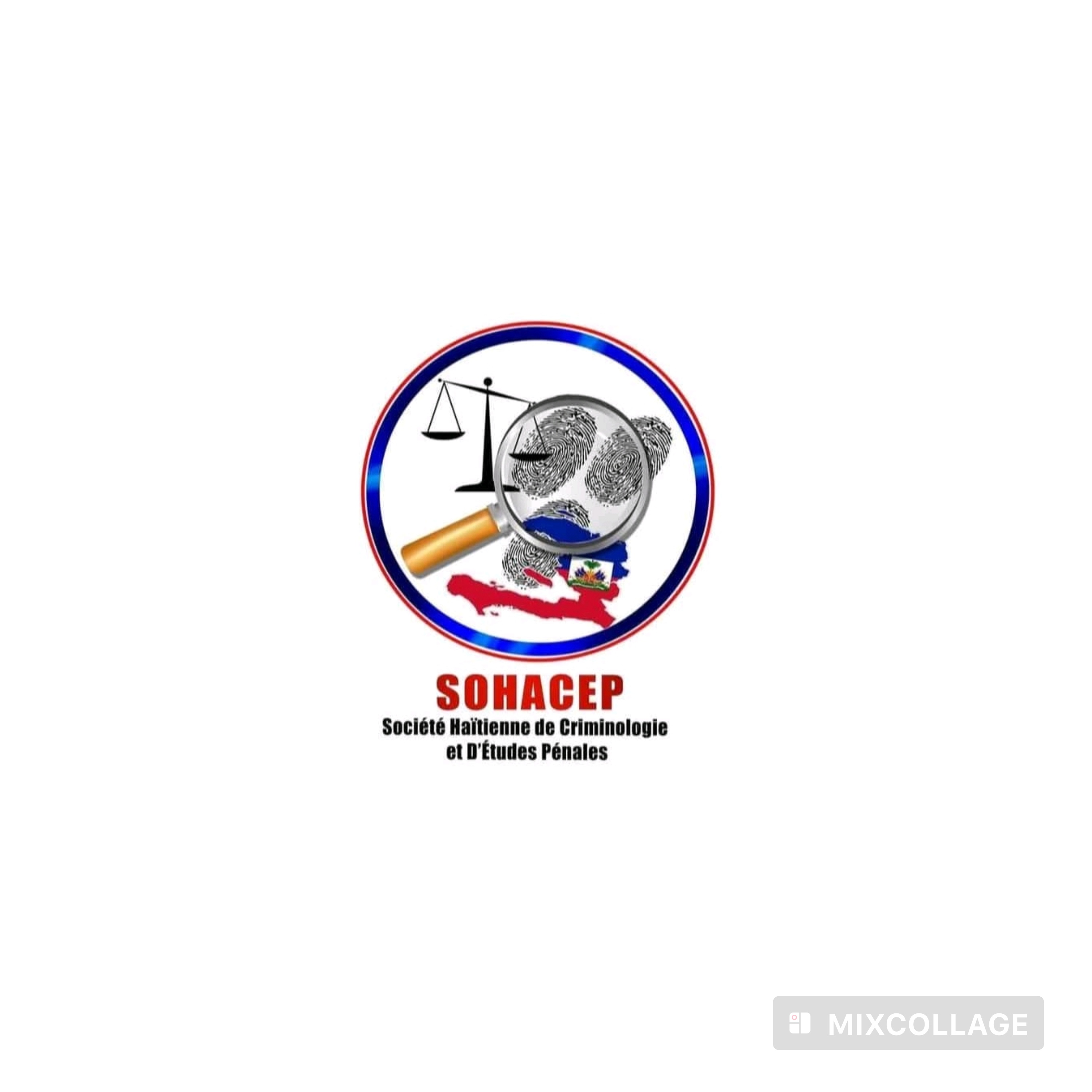 Haïti face à la criminalité, la SOHACEP plaide pour une approche multidisciplinaire