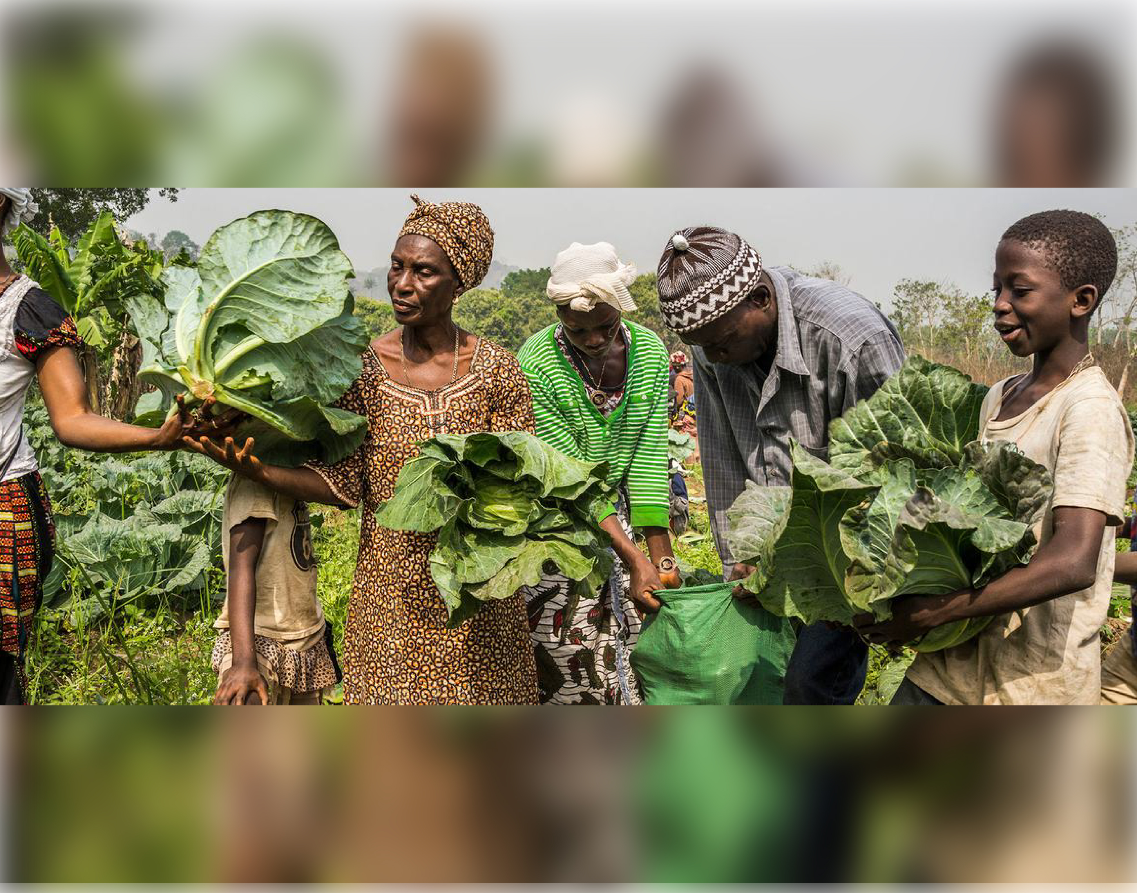 La guerre au Moyen-Orient, un choc pour la production alimentaire mondiale