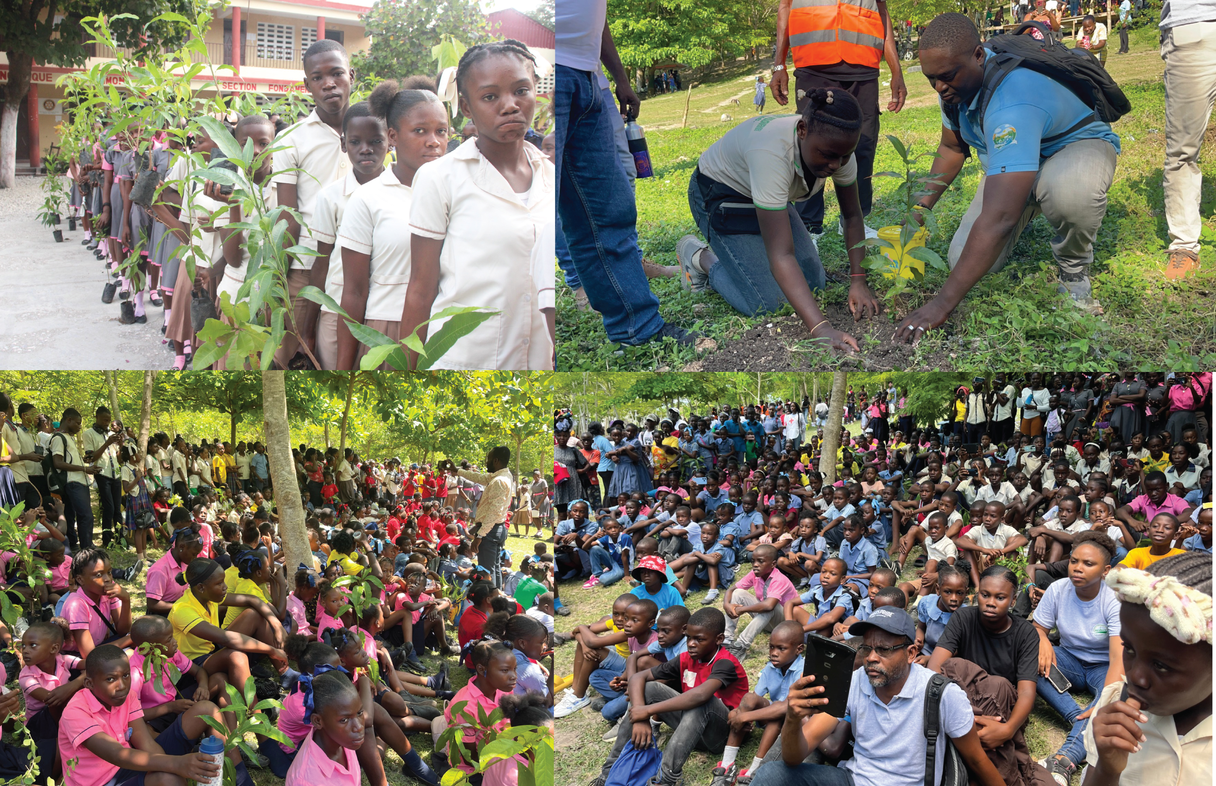 Cayes : Lancement de « Rêve en Vert »