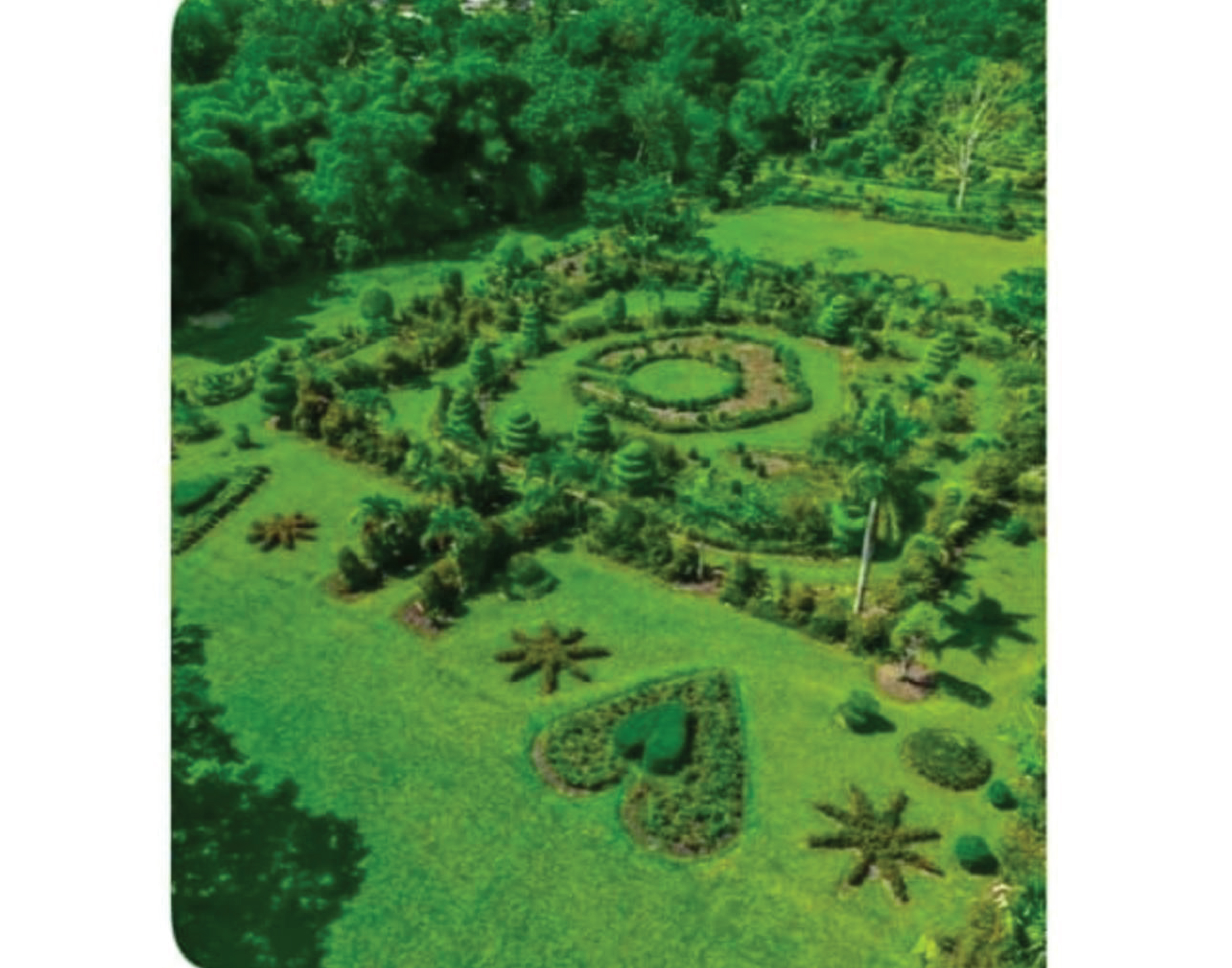 Le jardin botanique des Cayes : conflit foncier ou défaillance de l’État ?