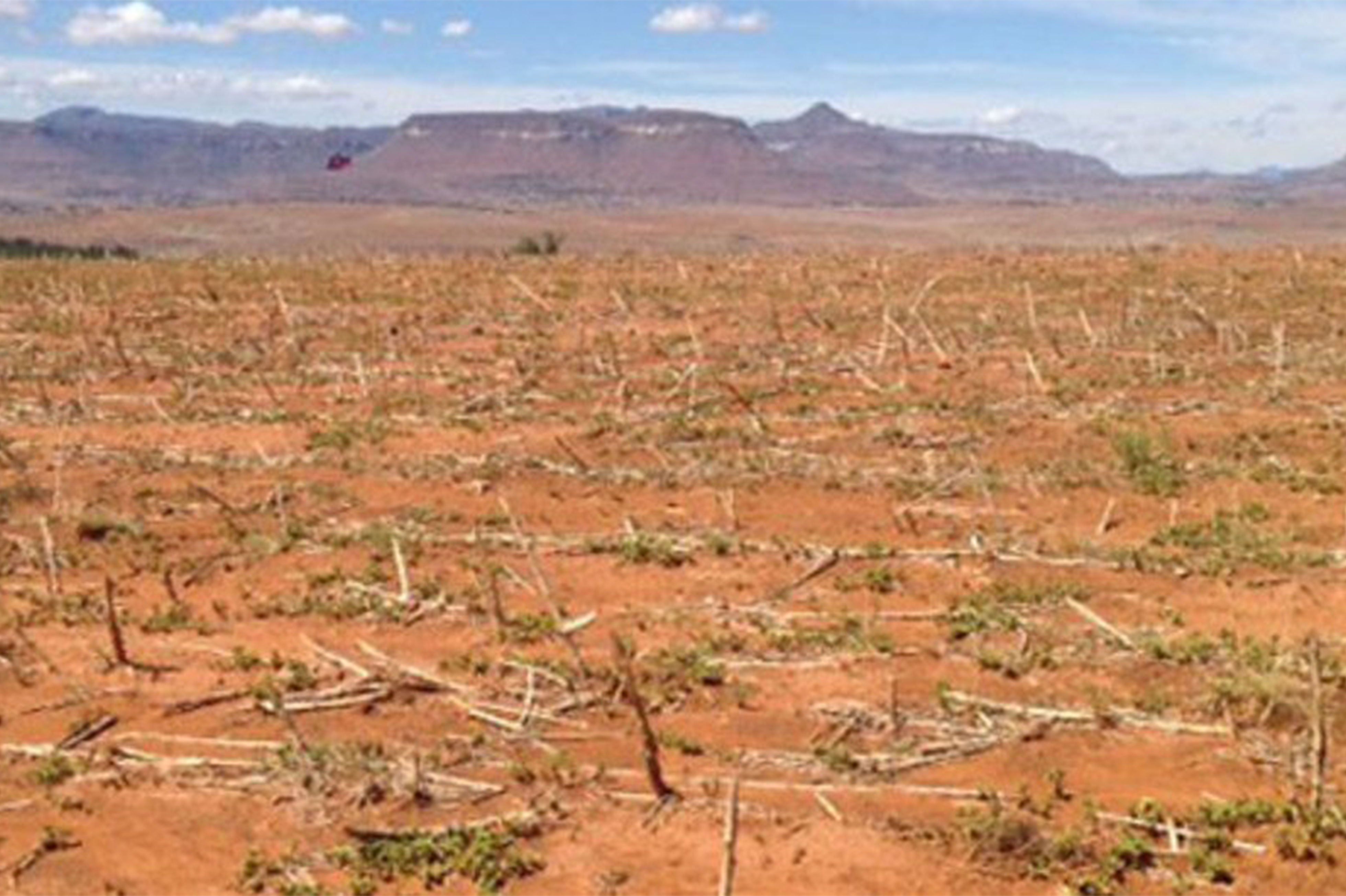 El Niño est de retour : l’OMM prévoit une recrudescence des phénomènes météorologiques extrêmes