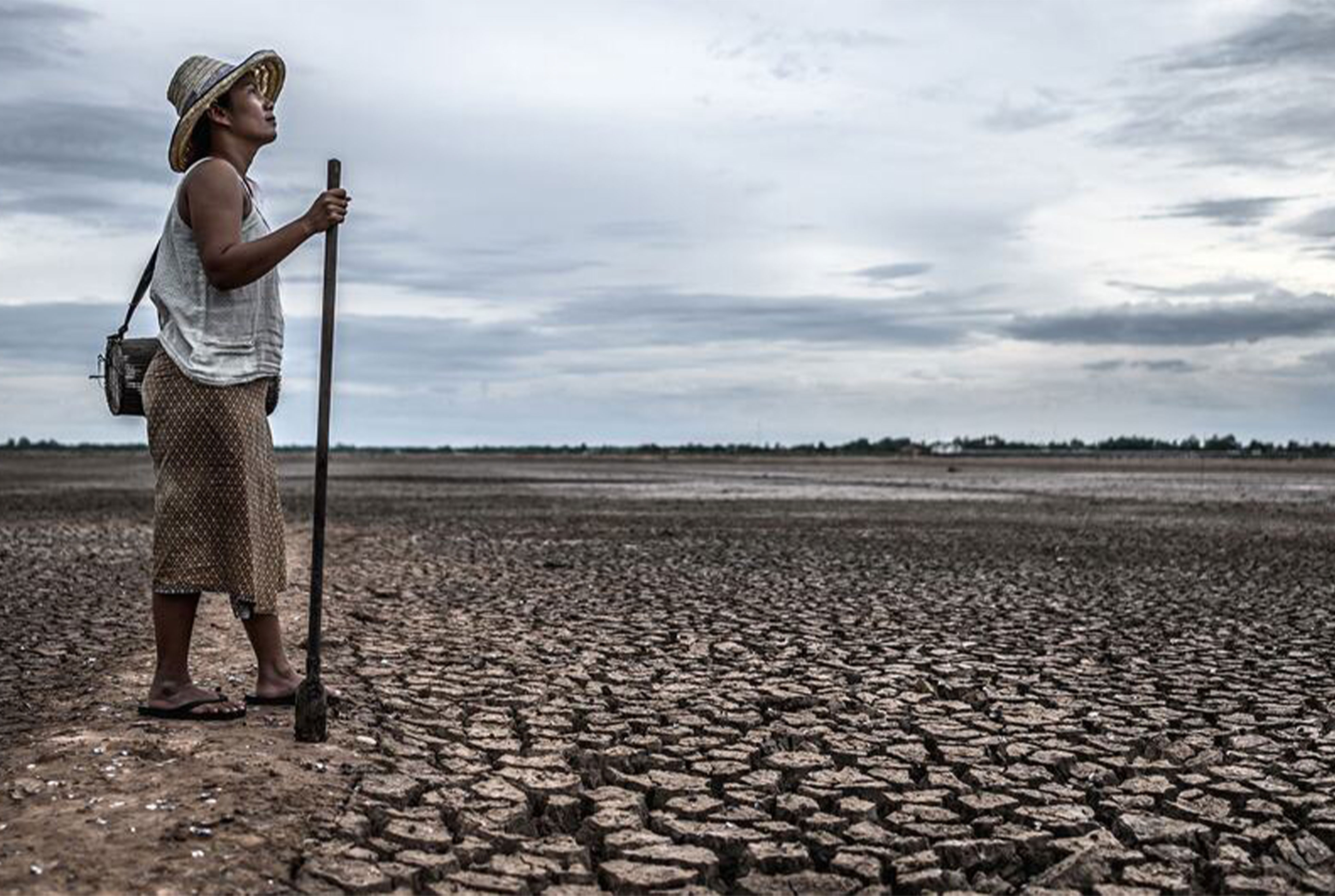 « Lutter pour l’humanité » : pour éviter une catastrophe climatique, il faut agir dès maintenant