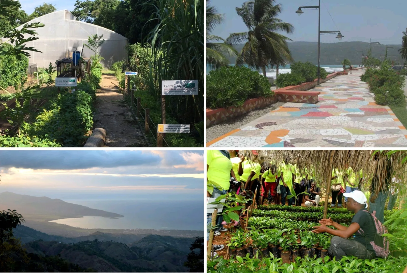 Regards sur le patrimoine d’Haïti, vecteur de progrès durable